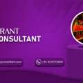 Bar Consultant For Complete Bar Setup, Menu Planning & Business Growth