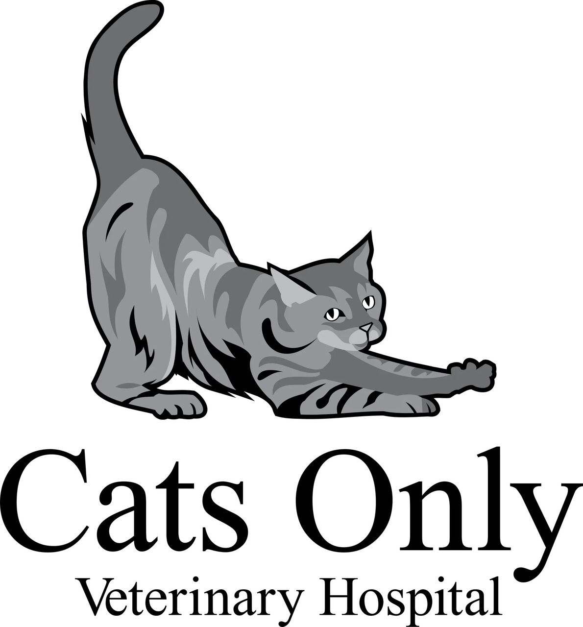 New York, Job Seekers, Cats Only Veterinary Hospital