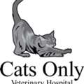 Cats Only Veterinary Hospital