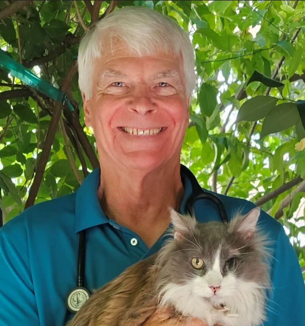 New York, Job Seekers, Cats Only Veterinary Hospital
