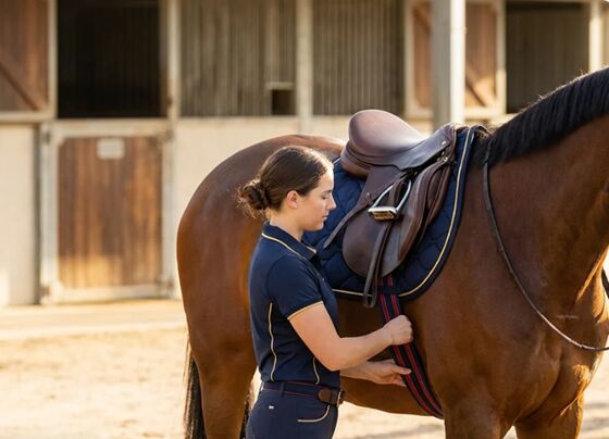 Sydney, Sporting Goods, AUD 295,  Bates & Wintec Horse Saddles &ndash; Shop The Range Now