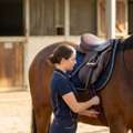 AUD 295,  Bates & Wintec Horse Saddles &ndash; Shop The Range Now