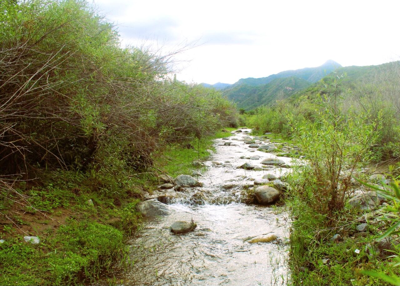 Buenos Aires, Agricultural Land, USD 190,  10000000 Sq. Meter,  1,000-Hectare Land Investment Opportunity In Valle F&eacute;rtil, San Juan, Argentina