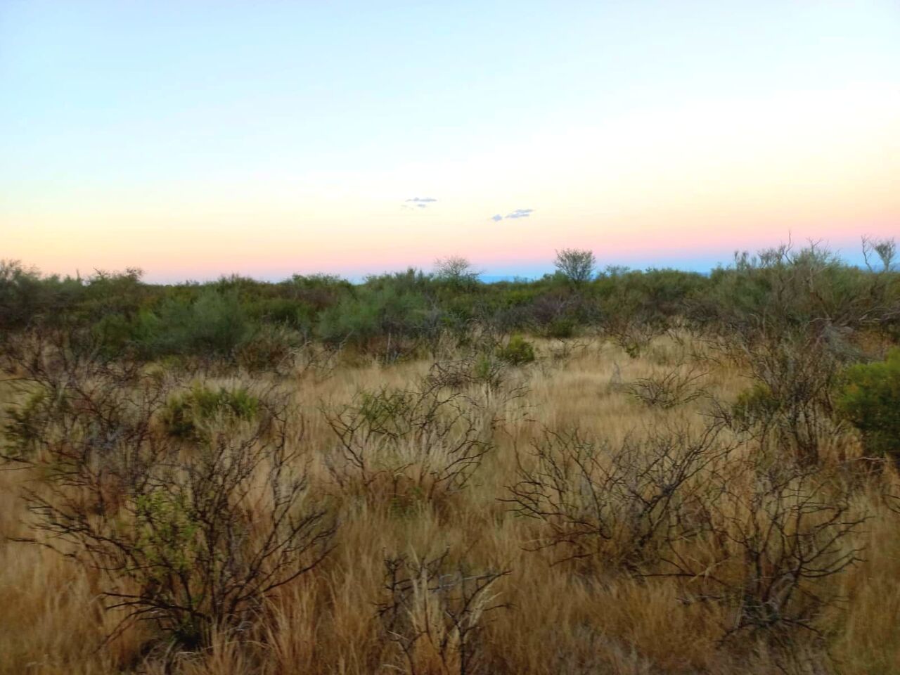 Buenos Aires, Agricultural Land, USD 190,  10000000 Sq. Meter,  1,000-Hectare Land Investment Opportunity In Valle F&eacute;rtil, San Juan, Argentina