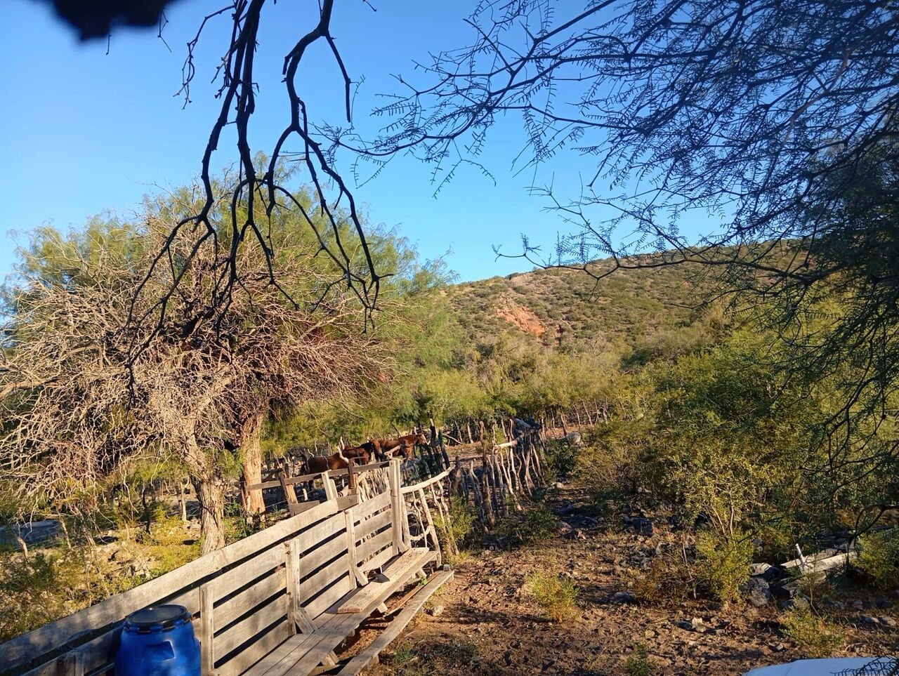 Buenos Aires, Agricultural Land, USD 190,  10000000 Sq. Meter,  1,000-Hectare Land Investment Opportunity In Valle F&eacute;rtil, San Juan, Argentina