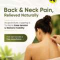 Acupuncture For Back & Neck Pain In Dubai | Yuan Qi