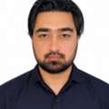 Sales Executive