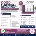 Need An Odoo Functional Consultant?
