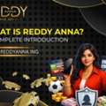 Reddy.guru – Your Online Betting Destination