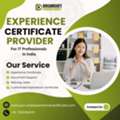 Experience Certificate Assistance For Job Documentation