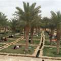 Planters Preparation, & Sprinklers Irrigation Services Complete Works