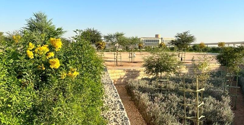 Riyadh, Construction, Planters Preparation, & Sprinklers Irrigation Services Complete Works
