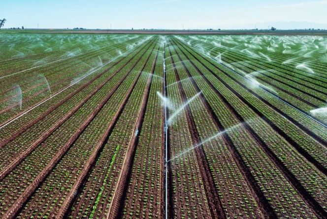 Riyadh, Construction, Planters Preparation, & Sprinklers Irrigation Services Complete Works