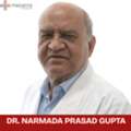 Dr. Narmada Prasad Gupta