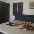 SAR 230,  King Size Cot And Bed
