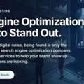 Professional Search Engine Optimization Services For Business Growth | Digi Growth Lab