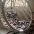 SAR 350,  350 SR Hanging Egg Chair And Other Things