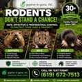 Expert Gopher, Mole & Rodent Control Services In San Diego County