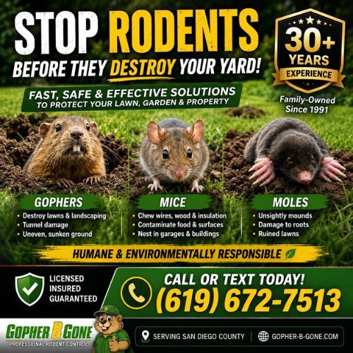 San Diego, Farm/Garden, Expert Gopher, Mole & Rodent Control Services In San Diego County