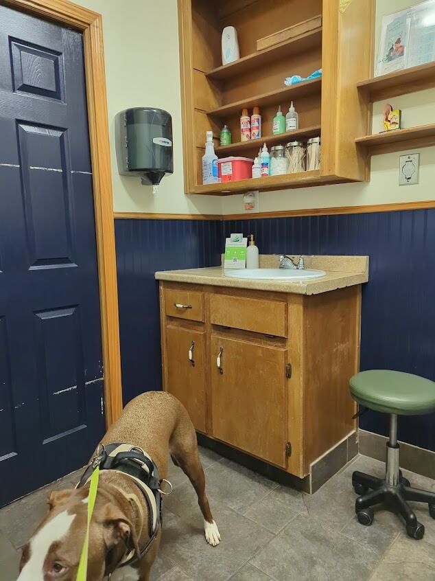 New York, Health, South Cherokee Veterinary Hospital