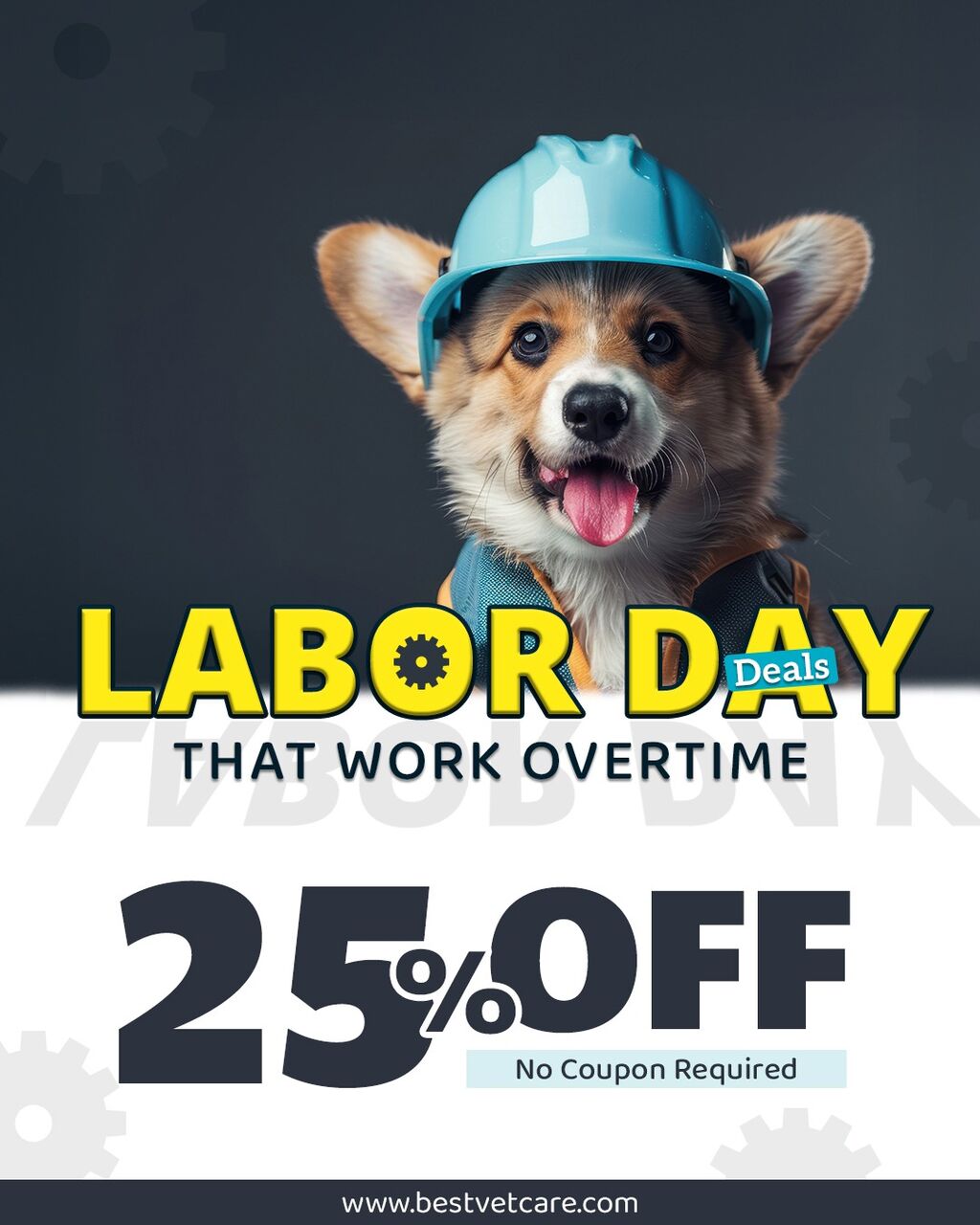 New York, Pet Supplies, BestVetCare Labor Day Sale: 25% OFF + Free Shipping