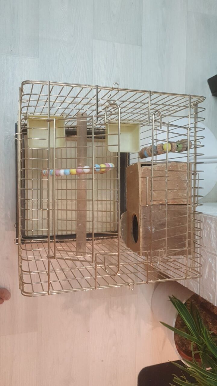 Riyadh, Pet Supplies, SAR 89,  Big Strong Cage/ Urgent Sale