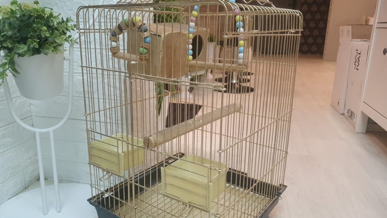 Riyadh, Pet Supplies, SAR 89,  Big Strong Cage/ Urgent Sale