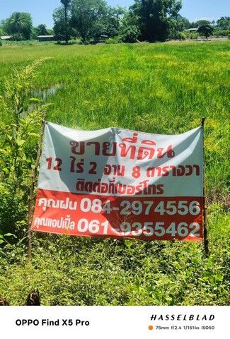 Bangkok, Real Estate For Sale, THB 12000000,  6 BR,  5008 Sq. Feet,  ขายที่ดิน ขายที่ดินแปลงสวย ตำบล บ