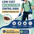 Low Cost Pest Control Cockroach Dubai | Call 0525383175