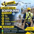 Scaffolders ( 120 )
