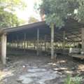 THB 4425000,  6 BR,  4023 Sq. Feet,  ขายโกดัง เชียงราย ถนนสายบ้านเวีย