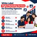 White Label Digital Marketing Services For Expanding Agencies