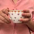 INR 1200,  Premium Crockery Brand Indore