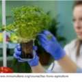 Bsc Agriculture Honours Syllabus