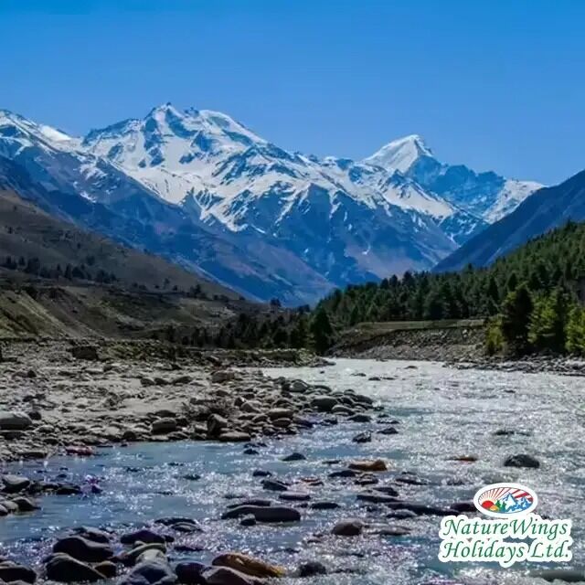 Kolkata, Travel, Himachal Pradesh Tour Packages &ndash; Explore The Himalayan Beauty