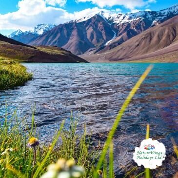 Kolkata, Travel, Himachal Pradesh Tour Packages &ndash; Explore The Himalayan Beauty