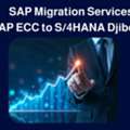 SAP Migration Services | SAP ECC To S/4HANA Djibouti