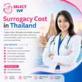 Surrogacy Cost In Thailand