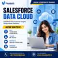 Salesforce Data Cloud Online Training &ndash; New Batch Starts Sep 14