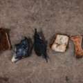 USD 55,  Order Clean And Safe Dental Chews For Dogs