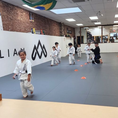 New York, Marketing, Juniors Brazilian Jiu-Jitsu Program In Kingston NY | Build Confidence | Ascended Jiu - Jit