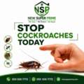 ✅✅ COCKROACH PROBLEM? GET IT TREATED! – PEST CONTROL DAMMAM – ✅ 055 935 7772 ✅✅