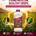 INR 500,  Top 10 Pesticide Companies For Farmers | NACL Industries India