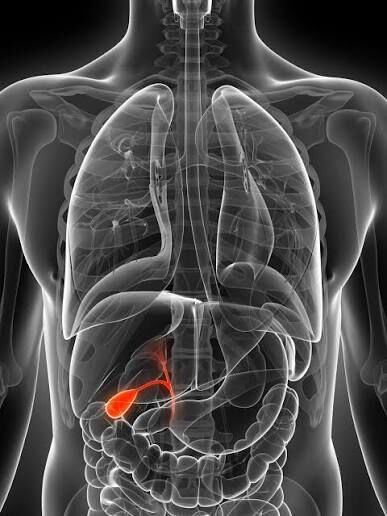 New Delhi, Health, Posting Title: Best Robotic Gallbladder Surgery In Delhi | Advanced Treatment