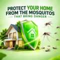 ✅✅ MOSQUITO PROBLEM AT HOME? CONTROL THEM – MOSQUITO CONTROL DAMMAM – ✅ 055 935 7772 ✅✅