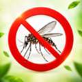 ✅✅ FLIES KEEP COMING INSIDE? CONTROL THEM – FLY CONTROL DAMMAM – ✅ 055 935 7772 ✅✅