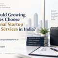 Why Should Growing Businesses Choose Professional Startup Advisory Services In India?