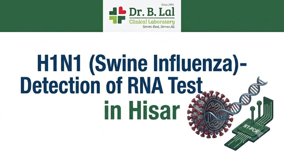 Haryana, Health & Beauty Items, INR 4500,  H1N1 Swine Flu Test In Hisar For Patients With Breathing Difficulty | Dr. B. Lal Lab