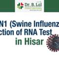 INR 4500,  H1N1 Swine Flu Test In Hisar For Patients With Breathing Difficulty | Dr. B. Lal Lab