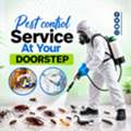 ✅✅ PESTS IN YOUR SHOP? CONTROL THEM – SHOP PEST CONTROL DAMMAM – ✅ 055 935 7772 ✅✅